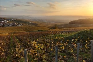 From Paris: Small-Group Champagne Tour with 3-Course Lunch
