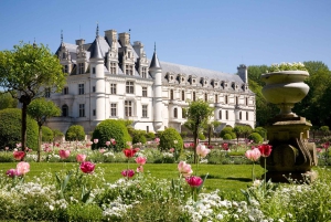 From Paris: Small-Group Loire Valley Castles Full-Day Tour