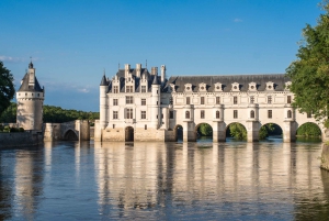 From Paris: Small-Group Tour of Loire Castles