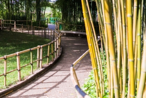 From Paris: Versailles and Giverny Full-Day Trip