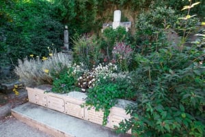 From Paris: Versailles and Giverny Full-Day Trip