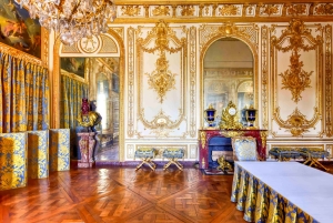 Da Parigi: Biglietti per la Reggia di Versailles con guida autonoma e giardini