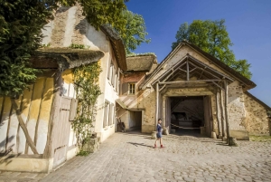 Da Parigi: Biglietti per la Reggia di Versailles con guida autonoma e giardini