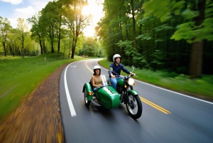 Från Paris: Versailles Vintage Sidecar Tour med inträde