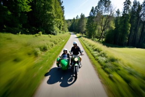 Från Paris: Versailles Vintage Sidecar Tour med inträde