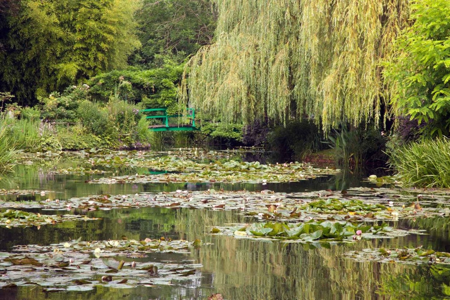 Fra Paris: Besøg i Monets hus og haver i Giverny