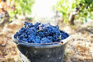 From Paris: Wine Day trip to SANCERRE w 10 Tastings & Lunch