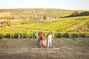 From Paris: Wine Day trip to SANCERRE w 10 Tastings & Lunch