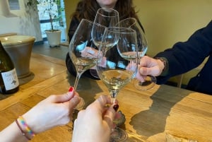 From Paris: Wine Day trip to SANCERRE w 10 Tastings & Lunch