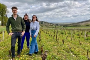 From Paris: Wine Day trip to SANCERRE w 10 Tastings & Lunch