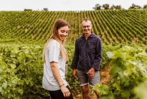 From Paris: Wine Day trip to SANCERRE w 10 Tastings & Lunch