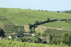 Pariisista: Maistiaiset ja lounas: Viinipäiväretki SANCERREen w 10 maistiaiset & lounas