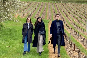 Pariisista: Maistiaiset ja lounas: Viinipäiväretki SANCERREen w 10 maistiaiset & lounas