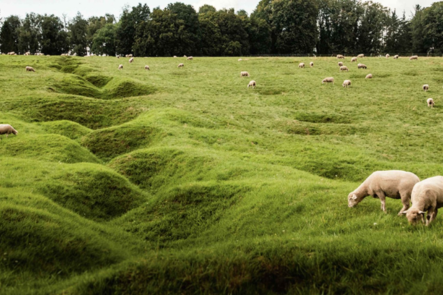 From Paris : WWI Somme Battlefields with Licensed Guide