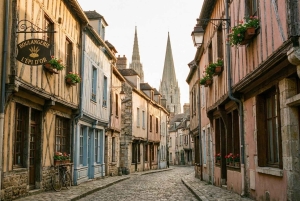 Visite guidée d'une journée à Chartres avec transfert depuis Paris