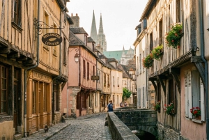 Visite guidée d'une journée à Chartres avec transfert depuis Paris