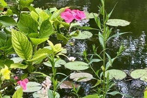 Giverny Versailles Trianon Lille gruppe i minivan fra Paris