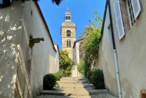 Champán Grand Vintage Private Moet Chandon Veuve Clicquot