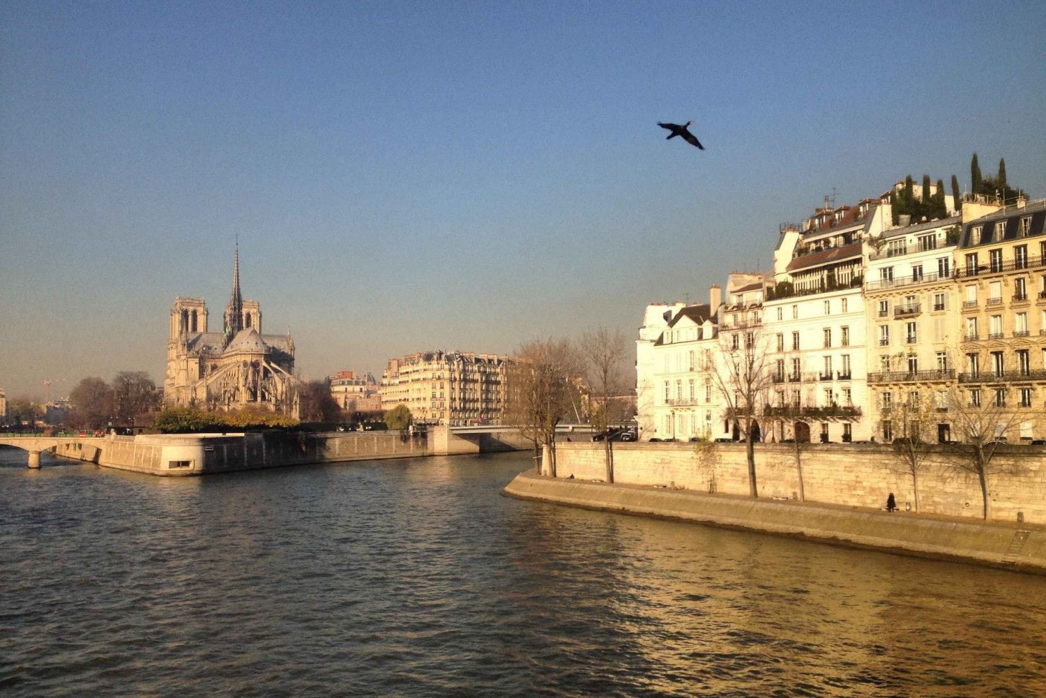 Paris: The vibrant city center and Le Marais in German