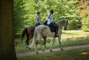 Horse ride Versailles Intimacy & ViP