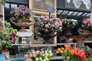 Paris: Ile De La Cité Walking Tour and Paris' Birthplace