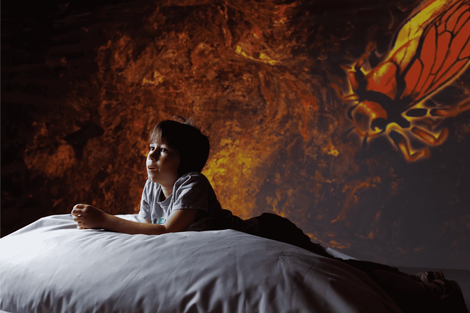 Cité Immersive des Fables – Inngangsbillett