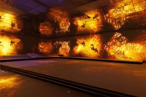 Cité Immersive des Fables – Inngangsbillett