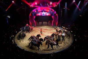 Les Folies Gruss i Paris - den oundvikliga hästshowen