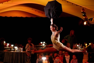 Les Folies Gruss i Paris - den oundvikliga hästshowen