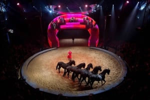 Les Folies Gruss i Paris - den oundvikliga hästshowen