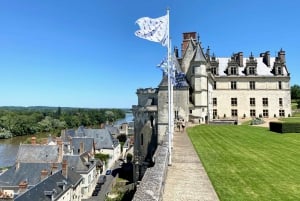 Visita guiada en directo a los castillos de Chenonceau, Chambord y Amboise desde París