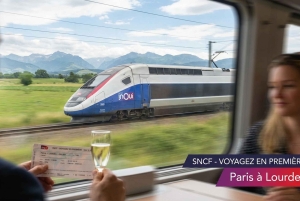 Visita guiada ao Santuário de Lourdes com transfers de Paris