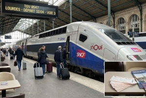 Visita guiada ao Santuário de Lourdes com transfers de Paris