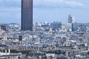Montparnasse: Walking Tour & Rooftop Paris Views