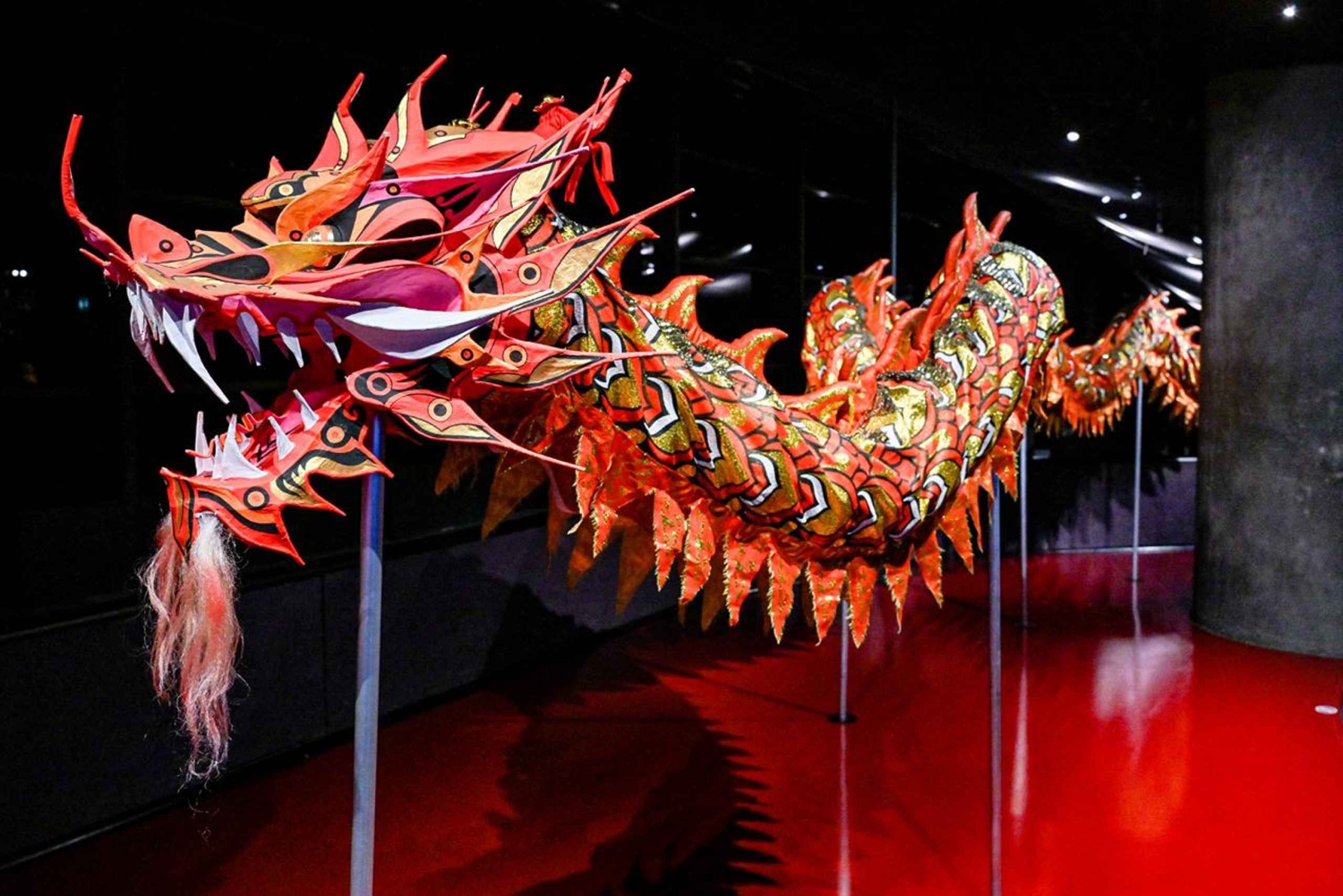 Musée du quai Branly - Jacques Chirac: Chirach: Pääsylippu