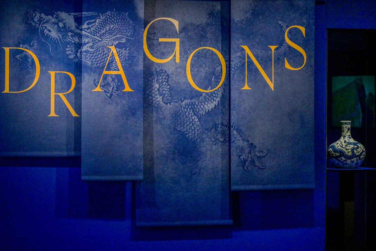 Musée du quai Branly - Jacques Chirac: Chirach: Pääsylippu