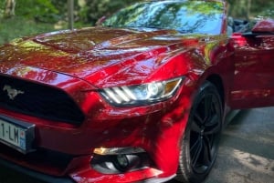 Mustang Paris Tours