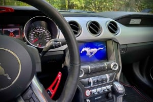 Mustang Paris Tours