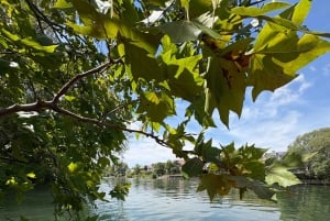 Neuilly Plaisance: Udlejning af kajakker og paddleboards til selvbetjening