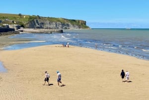 Normandy D-Day Landing Beaches Small-group trip from Paris
