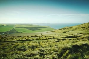 Normandy DDay beaches private tour from your hotel in Paris