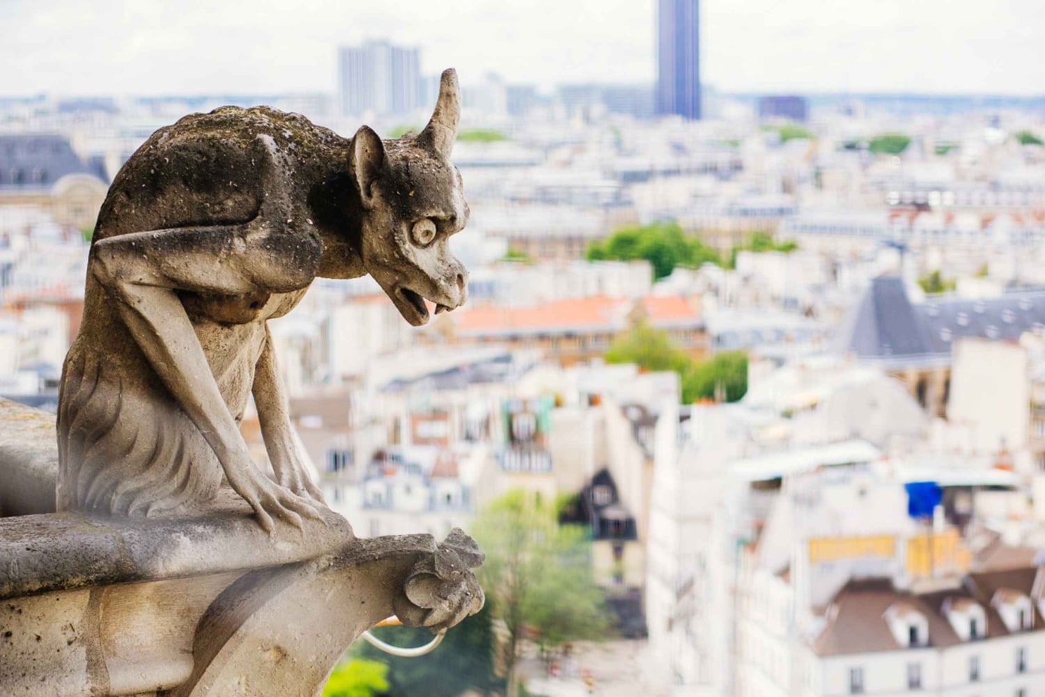 Notre Dame cathedral interior tour entrance with host