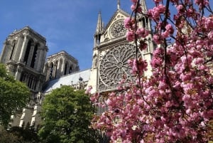 Kathedrale Notre-Dame: Reservierter Zugang, Bootsfahrt und Außen-Tour
