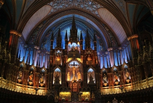 Catedral de Notre Dame: tour guiado por el interior sin colas