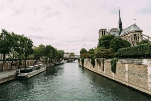 Catedral de Notre Dame: tour guiado por el interior sin colas