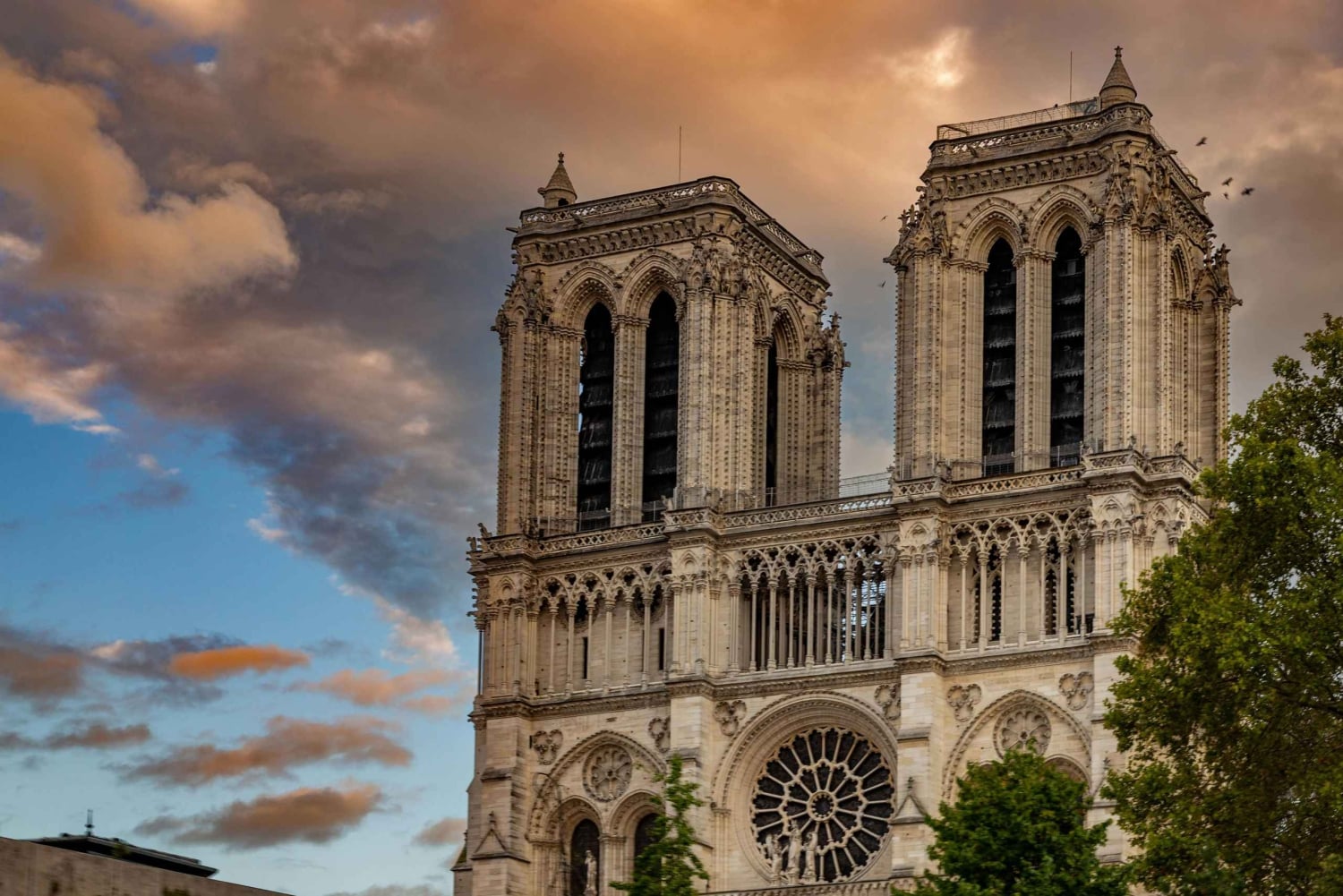Notre-Dame Cathedral with reserved access and exterior Tour
