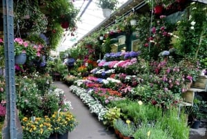 Notre-Dame & Île de la Cité Express Guided Tour