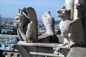 Visita al exterior de Notre-Dame y la Île de la Cité con acceso a la cripta