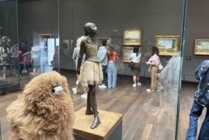 Orsay Museum: Museum Ticket Entry & 2h Private Guided Tour