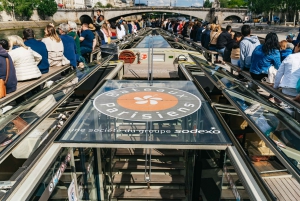 Paris: 1-stündige Seine-Kreuzfahrt mit Abfahrt vom Eiffelturm